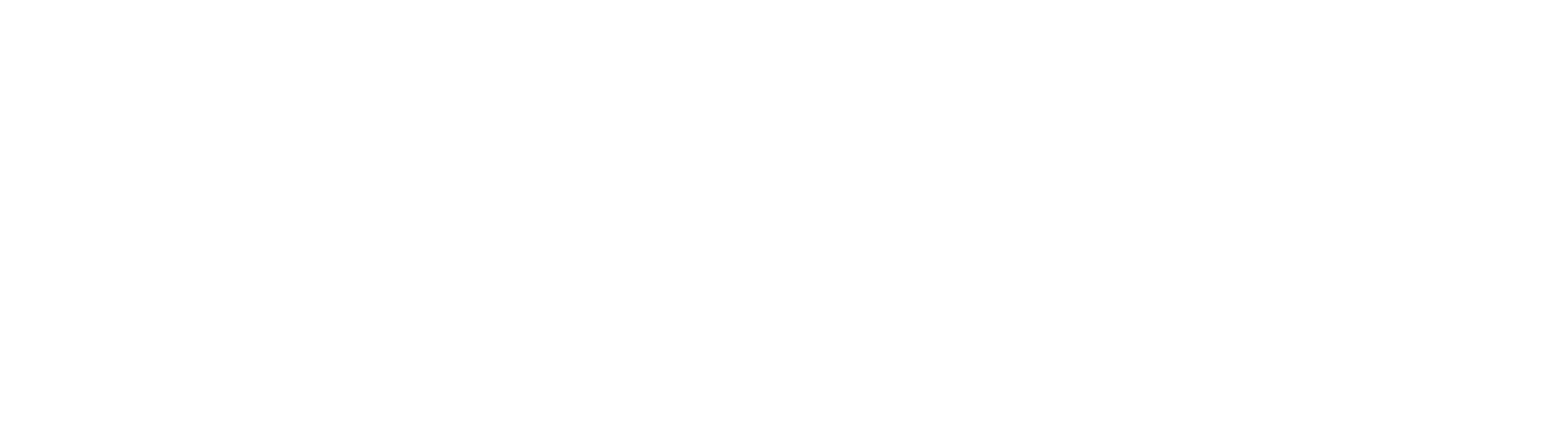 Logo Effectus